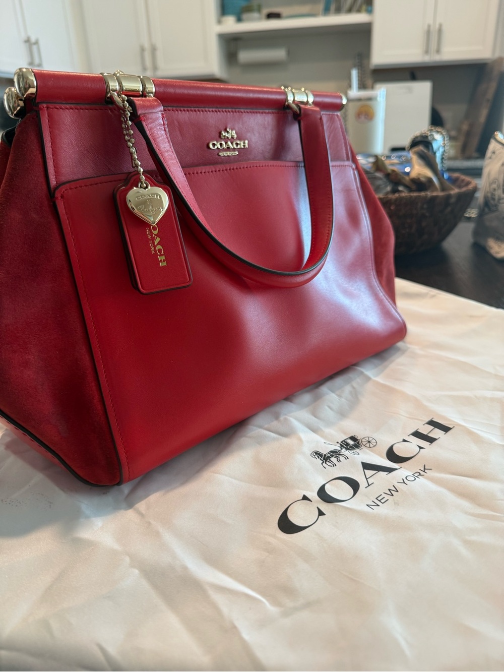 Limited Edition | Selena Gomez x Coach | Coach Grace Bag - Picture 3 of 12
